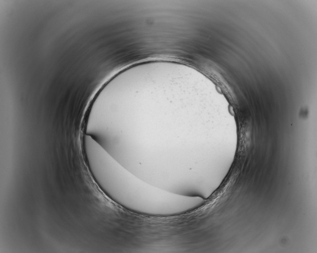 X0000099230908200805151627