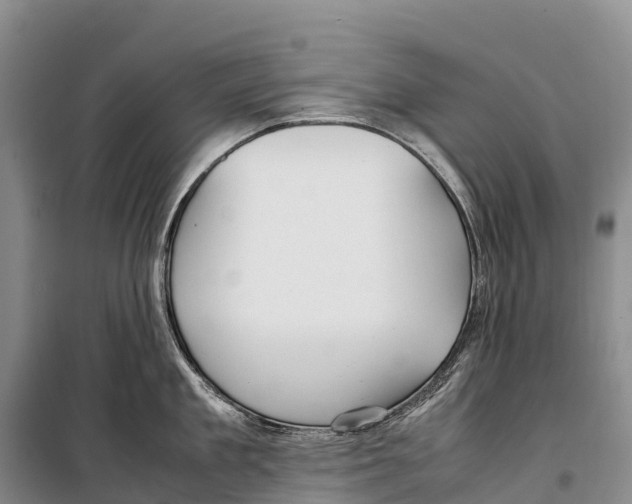 X0000099230909200805151627