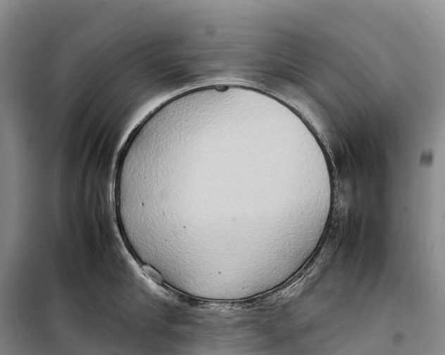 X0000099230910200805151627