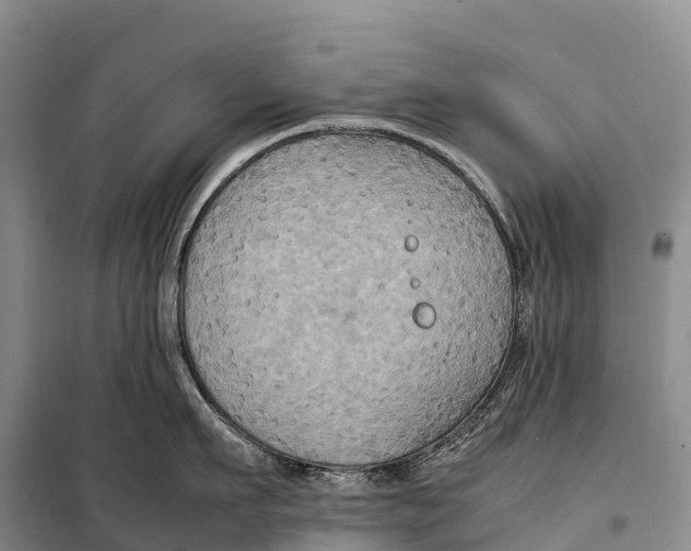 X0000099230911200805151627