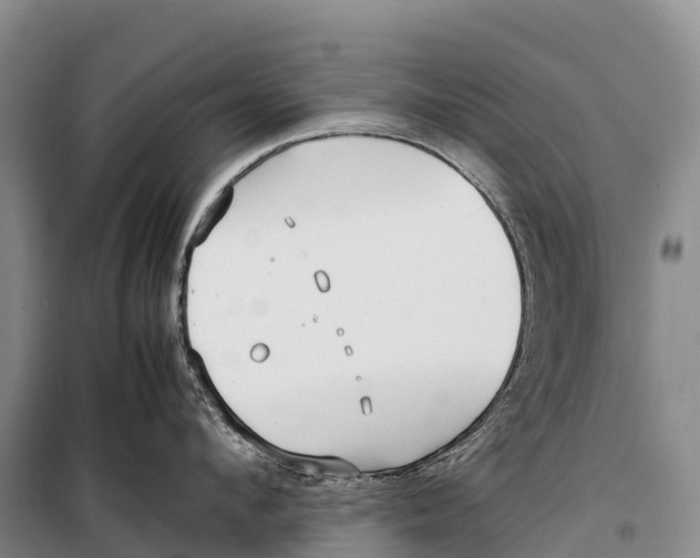 X0000099230912200805151627