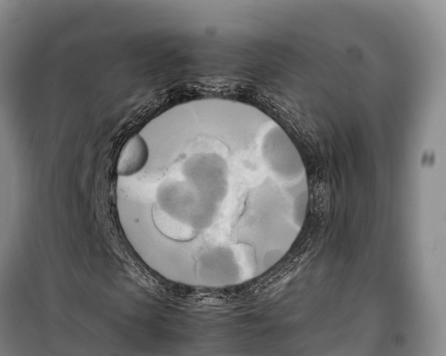 X0000099230913200805151626