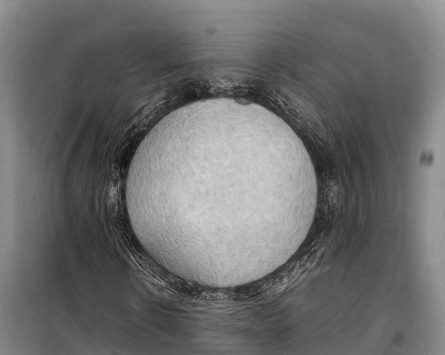 X0000099230914200805151626