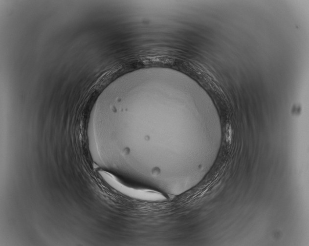 X0000099230915200805151626