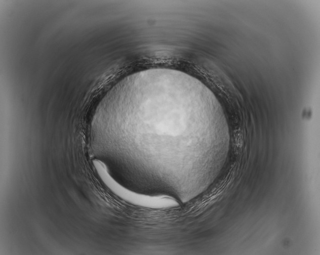 X0000099230916200805151626