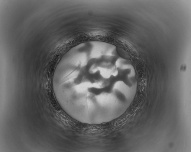 X0000099230917200805151626