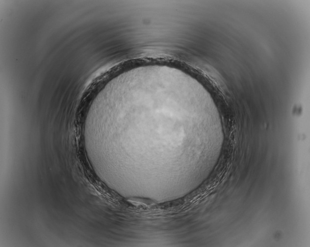 X0000099230920200805151626