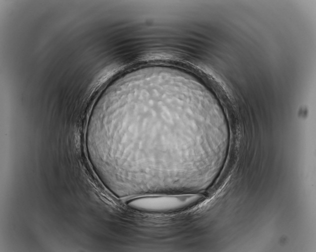 X0000099230921200805151626