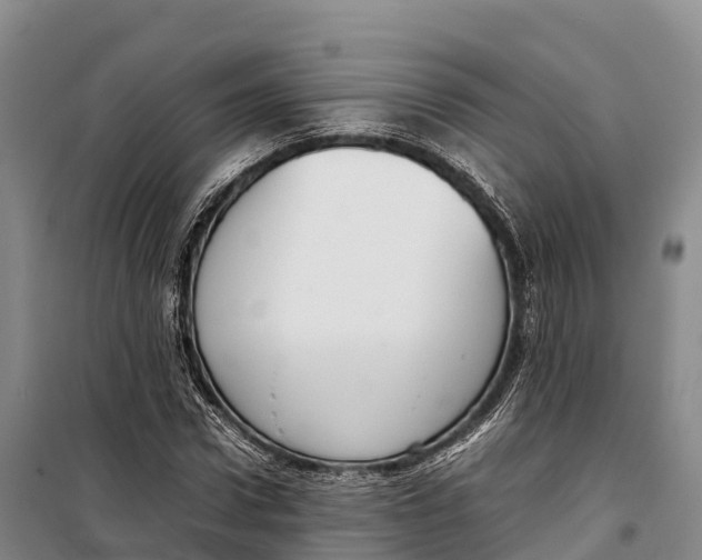 X0000099230922200805151626