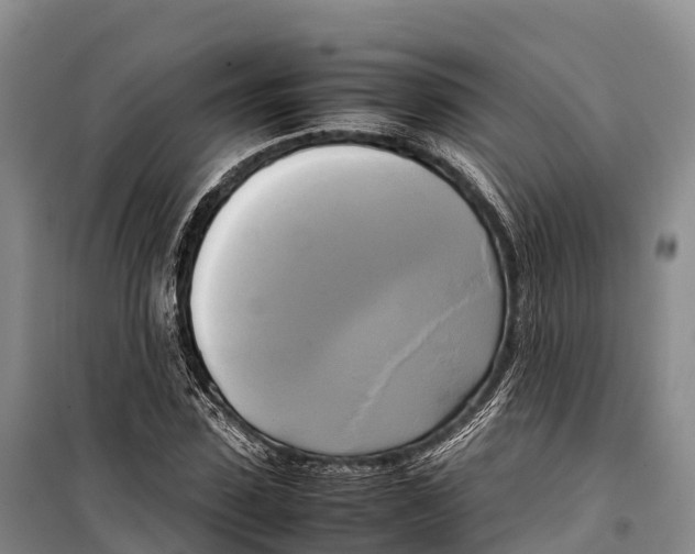 X0000099230923200805151626