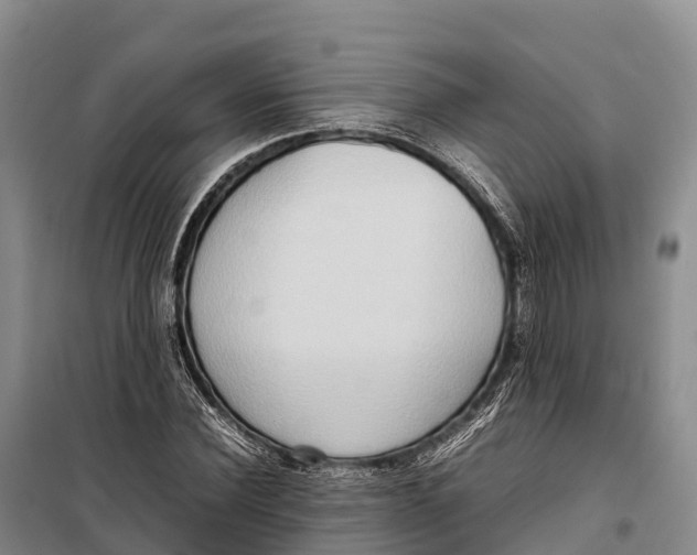 X0000099230924200805151626