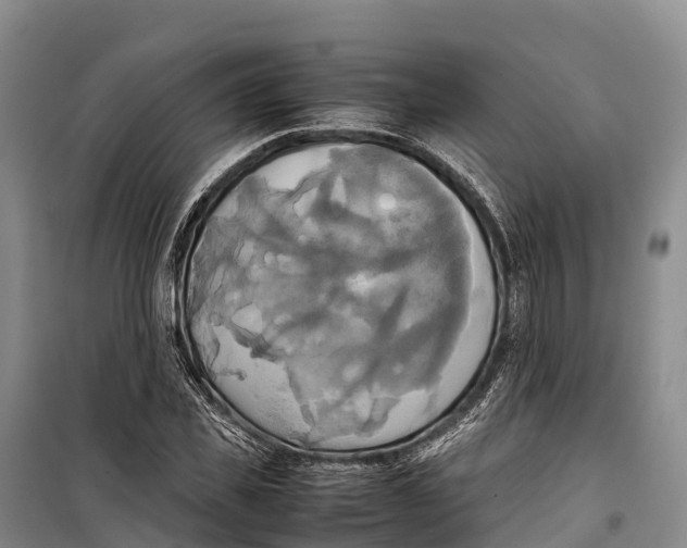 X0000099230925200805151626