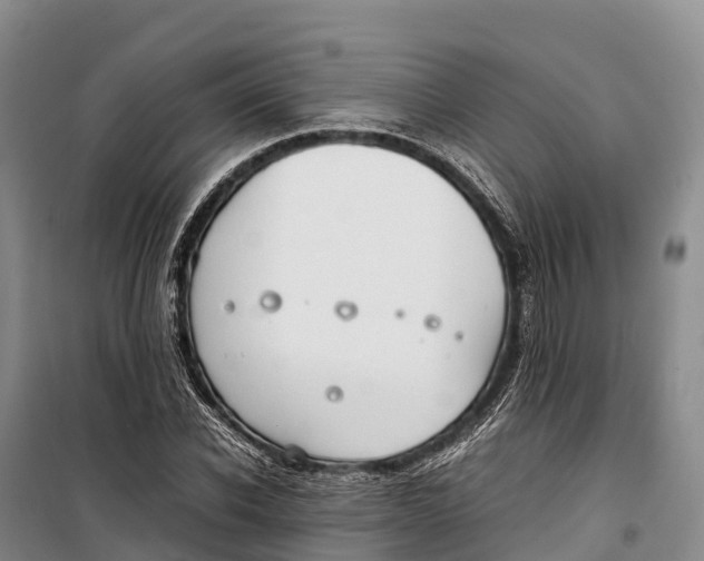 X0000099230926200805151626