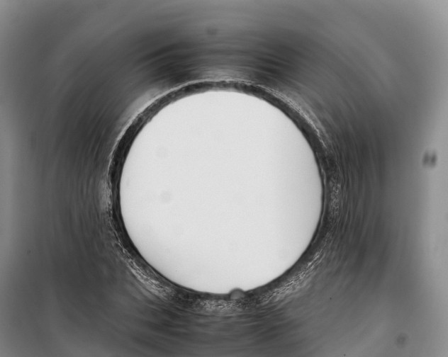 X0000099230927200805151626