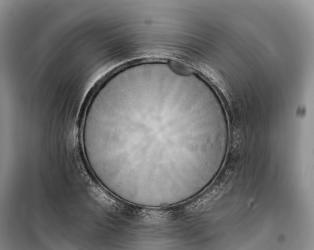 X0000099230928200805151626