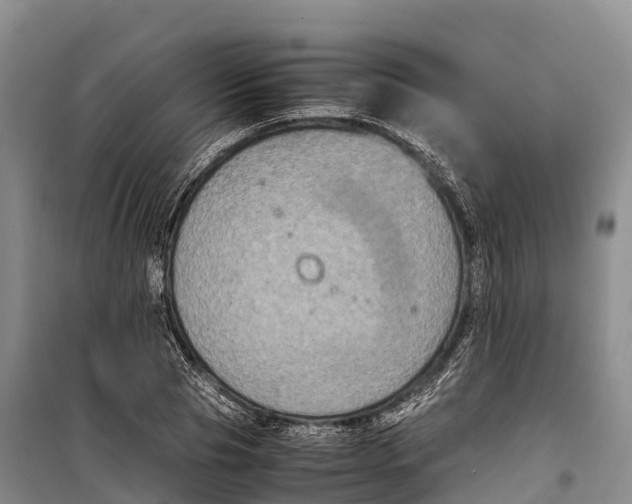 X0000099230929200805151626