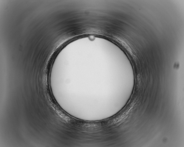 X0000099230931200805151626