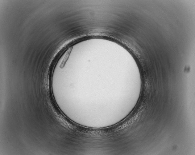 X0000099230934200805151626