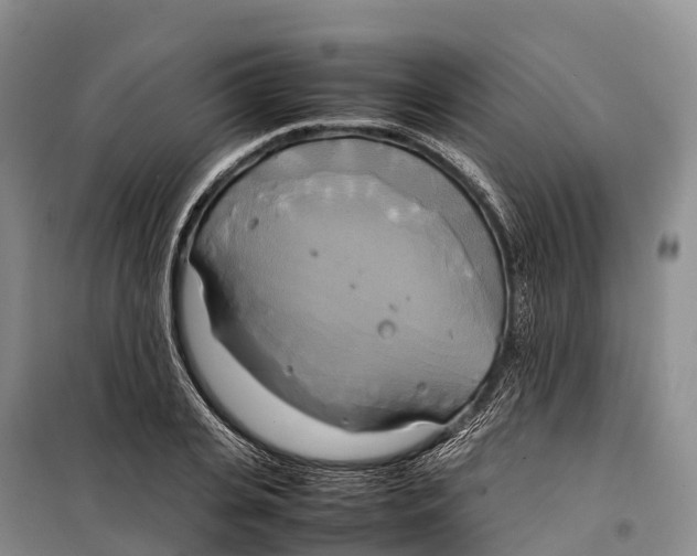 X0000099230935200805151626