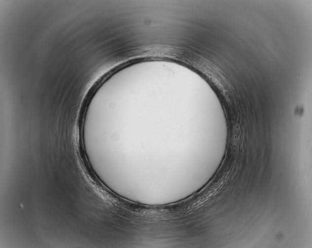 X0000099230936200805151626