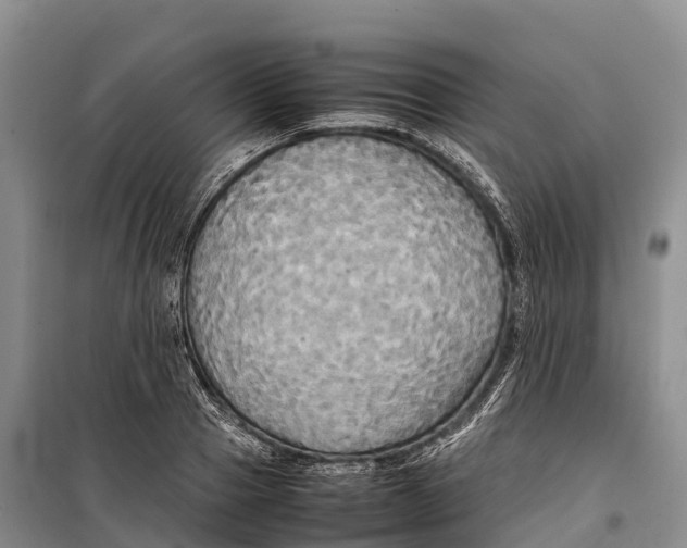 X0000099230937200805151626