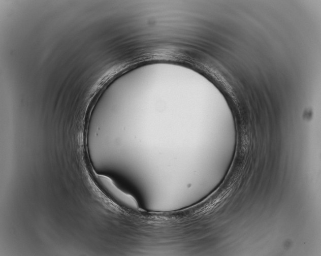 X0000099230938200805151626