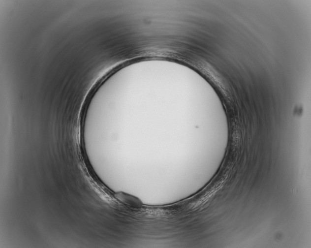 X0000099230940200805151626