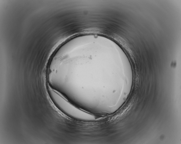 X0000099230941200805151626