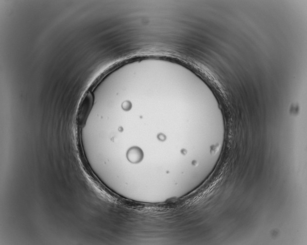 X0000099230942200805151626