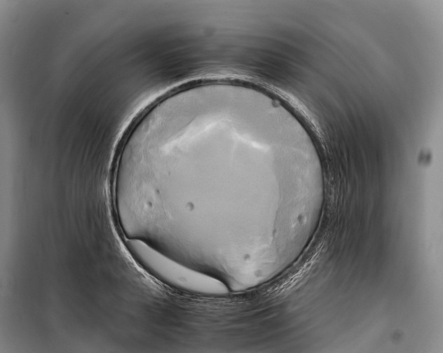 X0000099230943200805151626