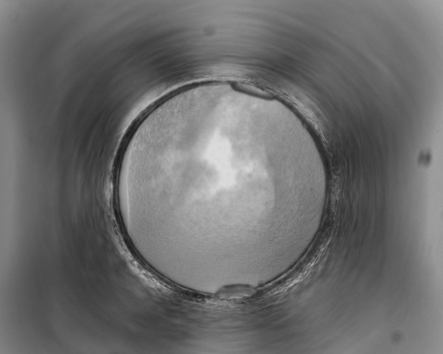 X0000099230944200805151626