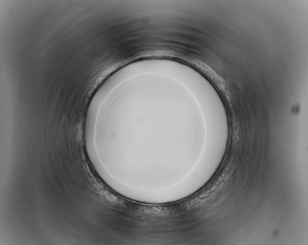 X0000099230945200805151626