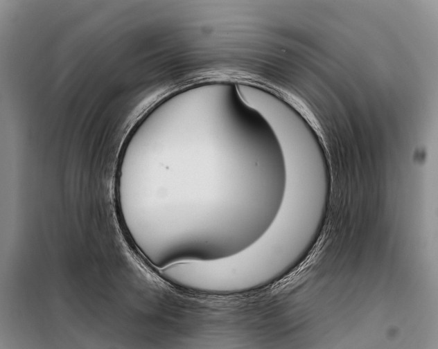 X0000099230946200805151626