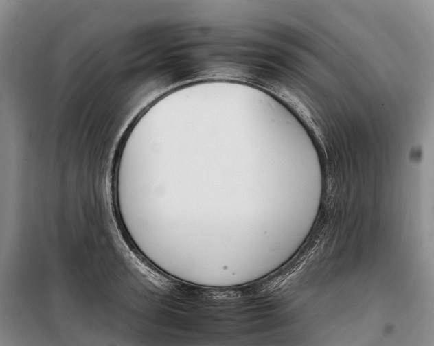 X0000099230947200805151626