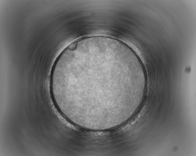 X0000099230949200805151626