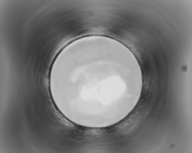 X0000099230950200805151626