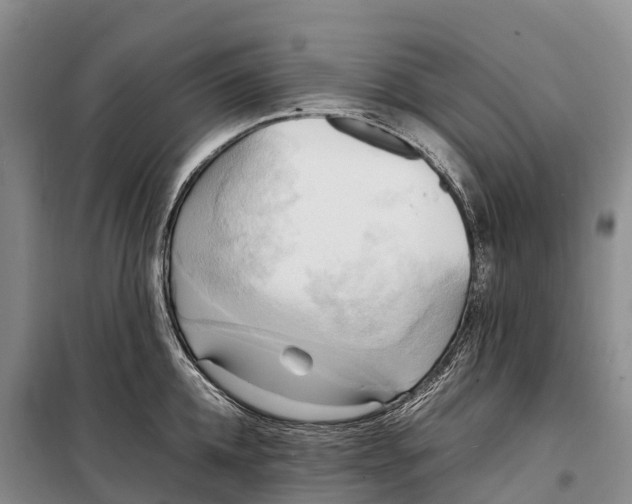 X0000099230952200805151626