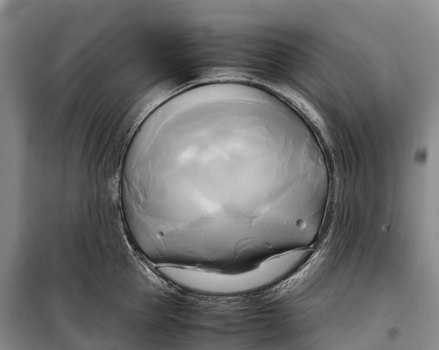 X0000099230953200805151626