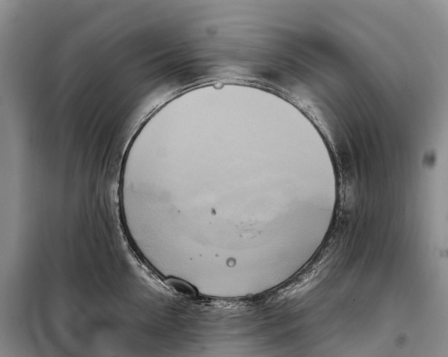 X0000099230954200805151626