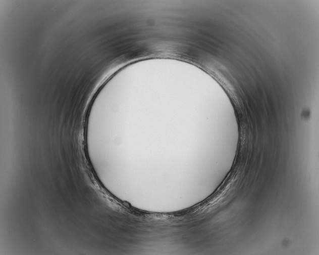 X0000099230956200805151626