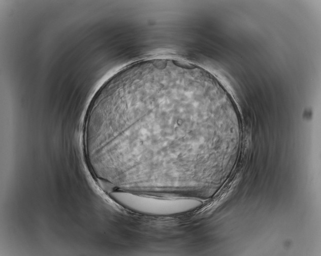 X0000099230957200805151627