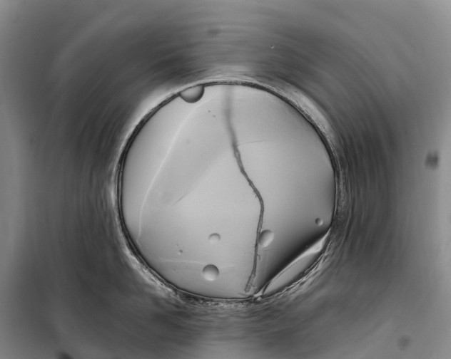 X0000099230958200805151627