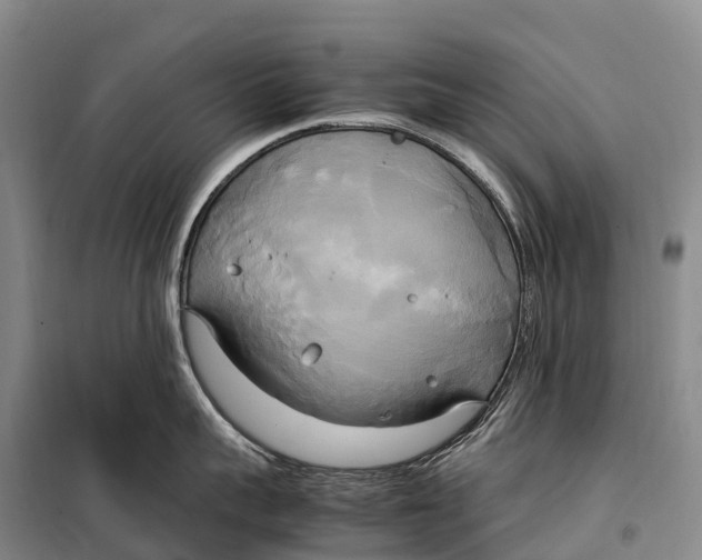 X0000099230959200805151627