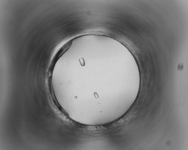 X0000099230960200805151627