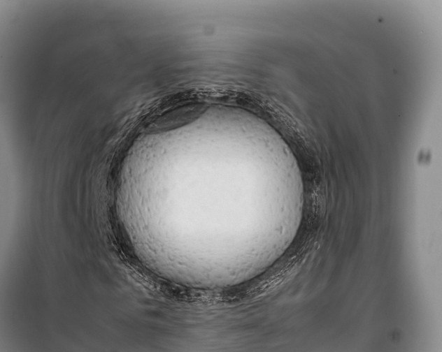 X0000099230961200805151626