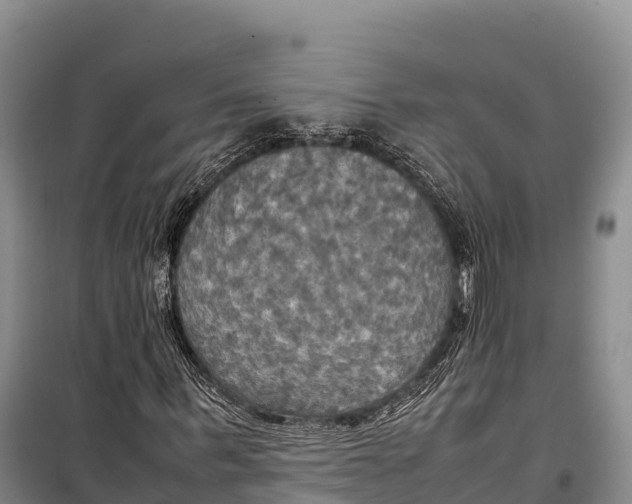 X0000099230963200805151626