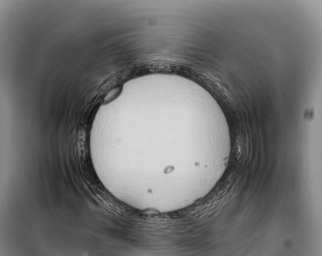 X0000099230964200805151626