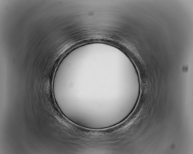 X0000099230969200805151626