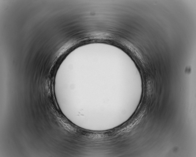 X0000099230970200805151626