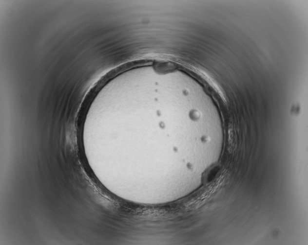 X0000099230972200805151626